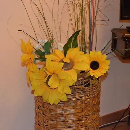 Holiday home Stefany Zafferana Etnea